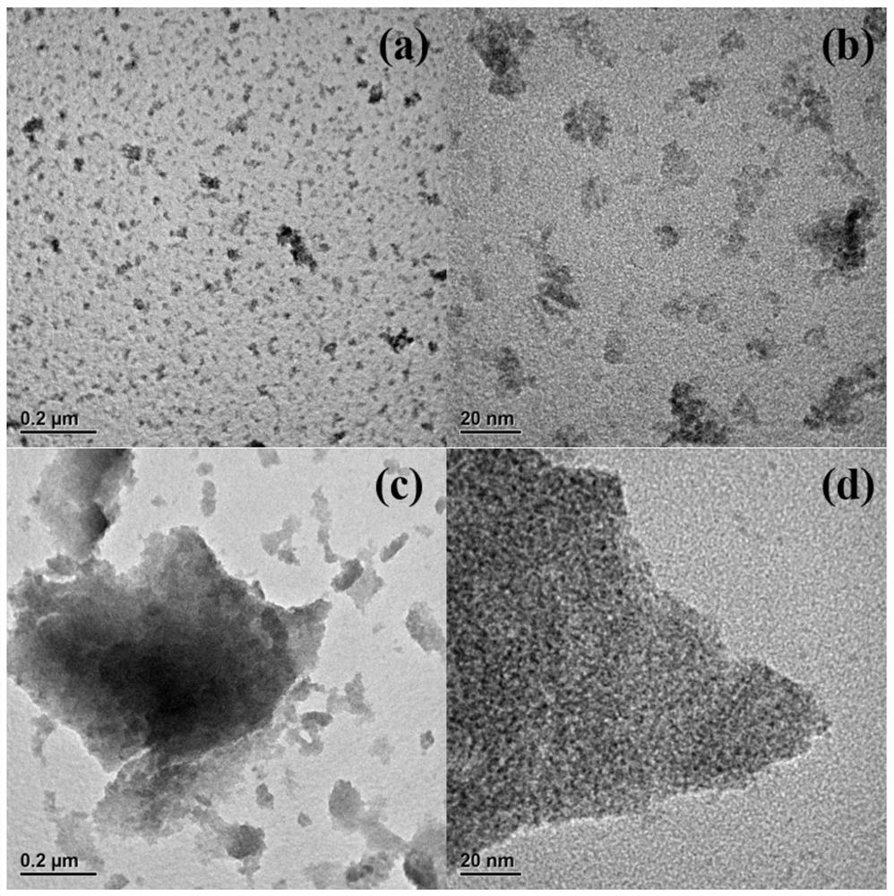 Preparation method of amido modified ferrihydrite material and application thereof