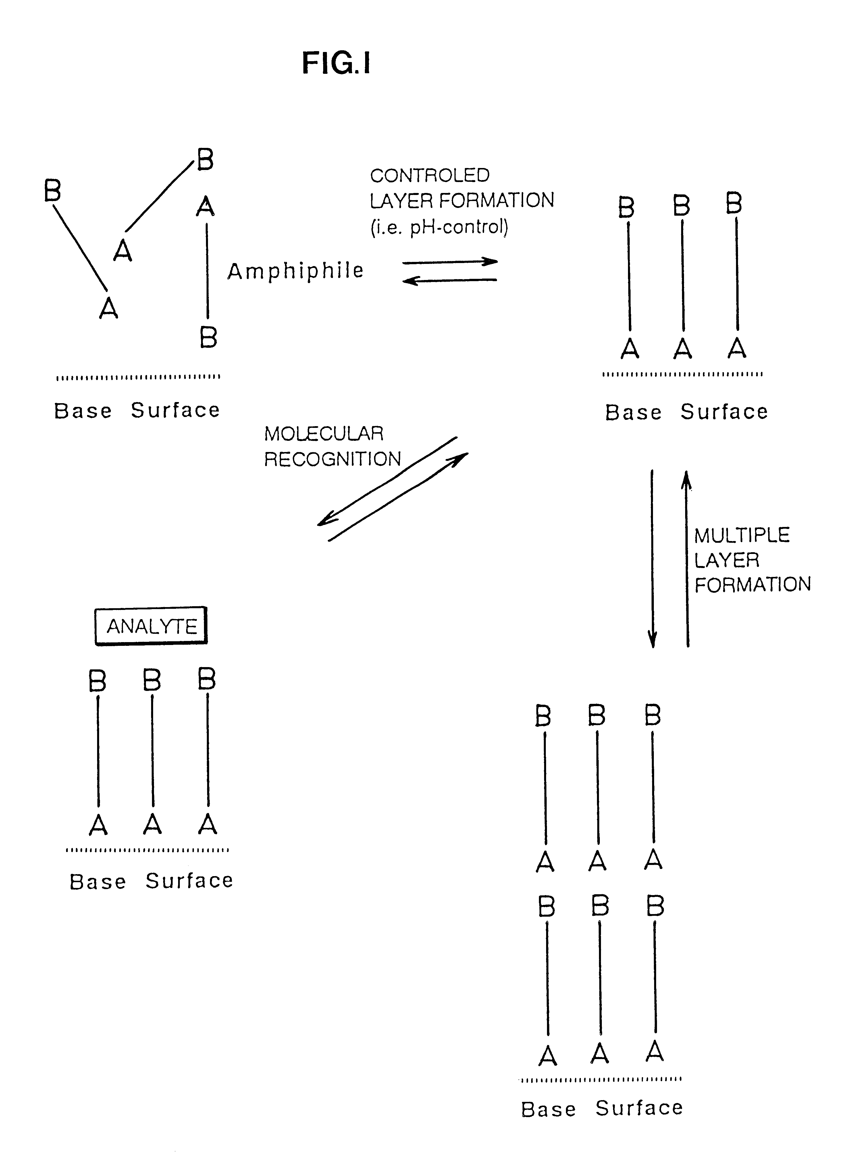 Reversibly, non-covalent bound surface coating