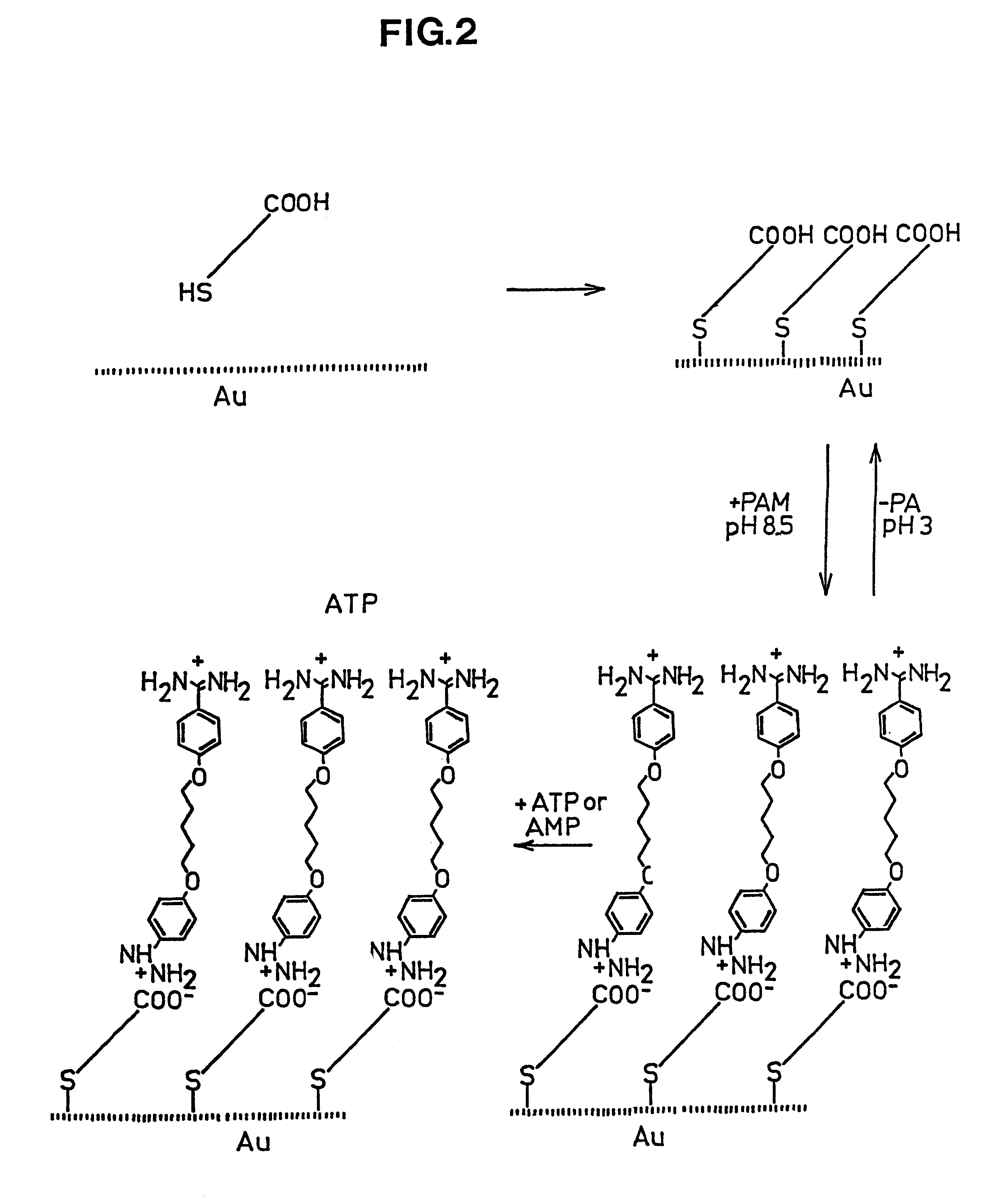 Reversibly, non-covalent bound surface coating