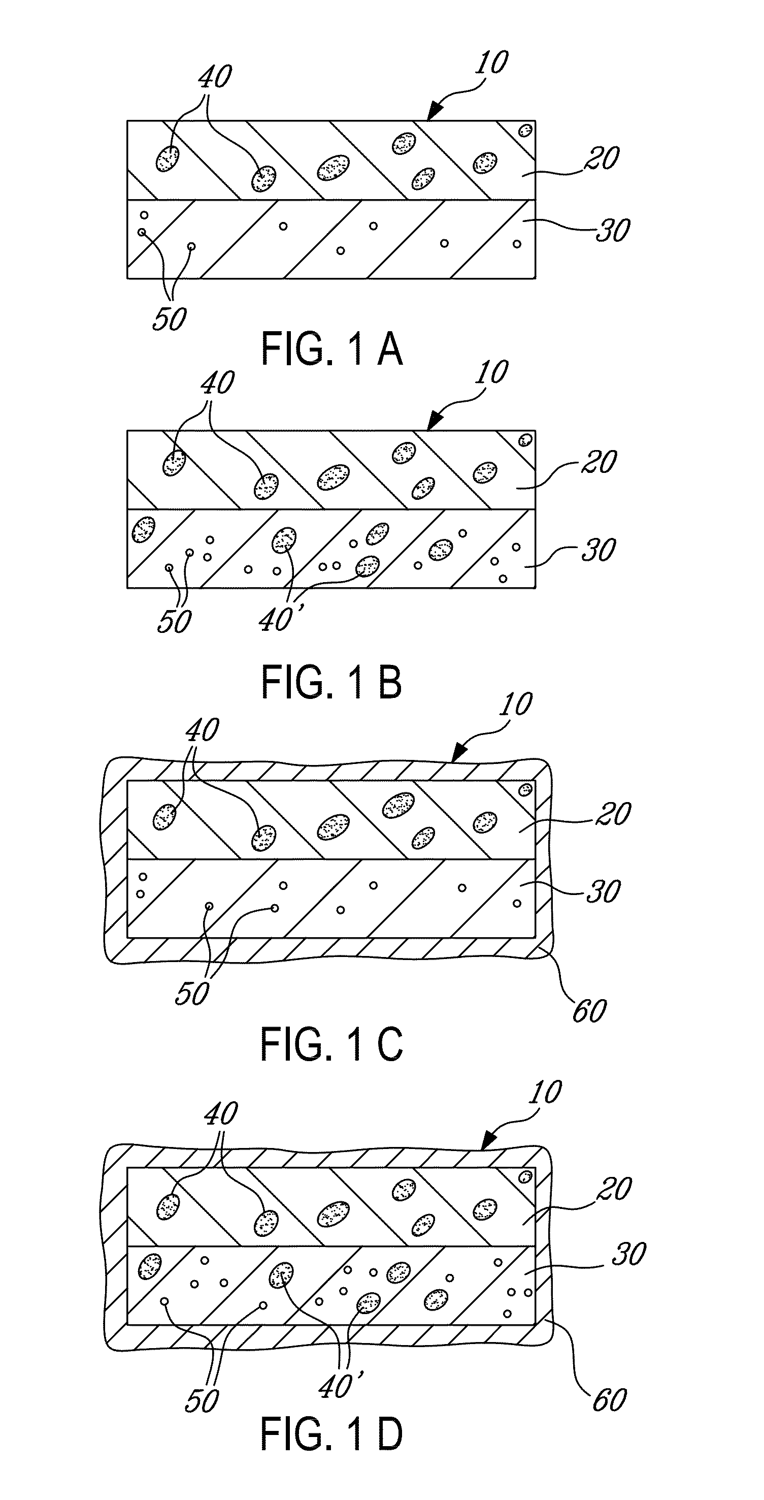 Misuse preventative, controlled release formulation