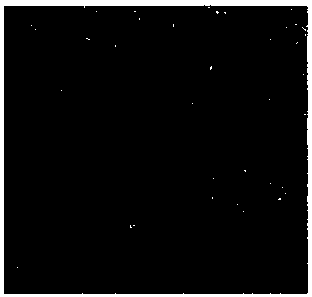 Reagent capable of detecting tumors and realizing auxiliary imaging and preparation method thereof