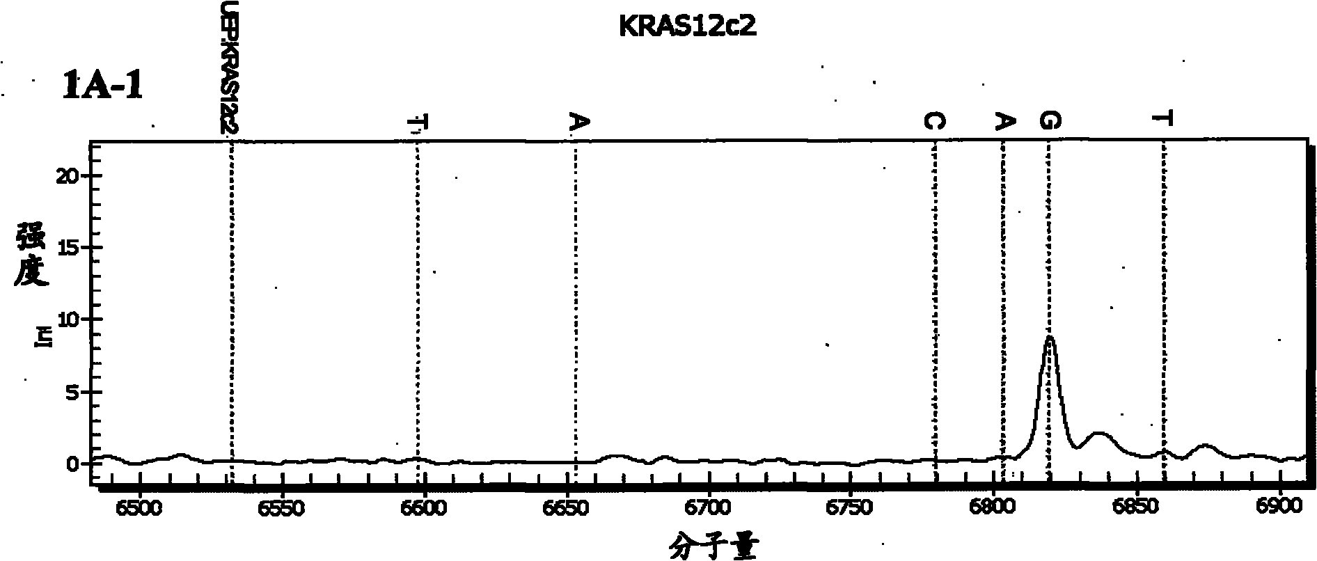 Detection method of nucleotide mutation points of KRAS gene and/or BRAF gene