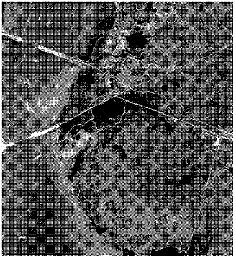 Supervised image segmentation method for hyperspectral image based migration dictionary learning