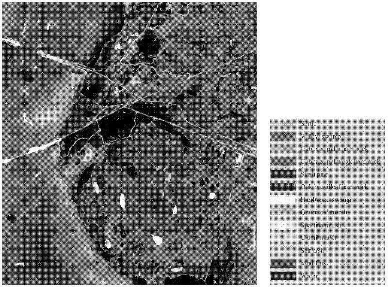 Supervised image segmentation method for hyperspectral image based migration dictionary learning