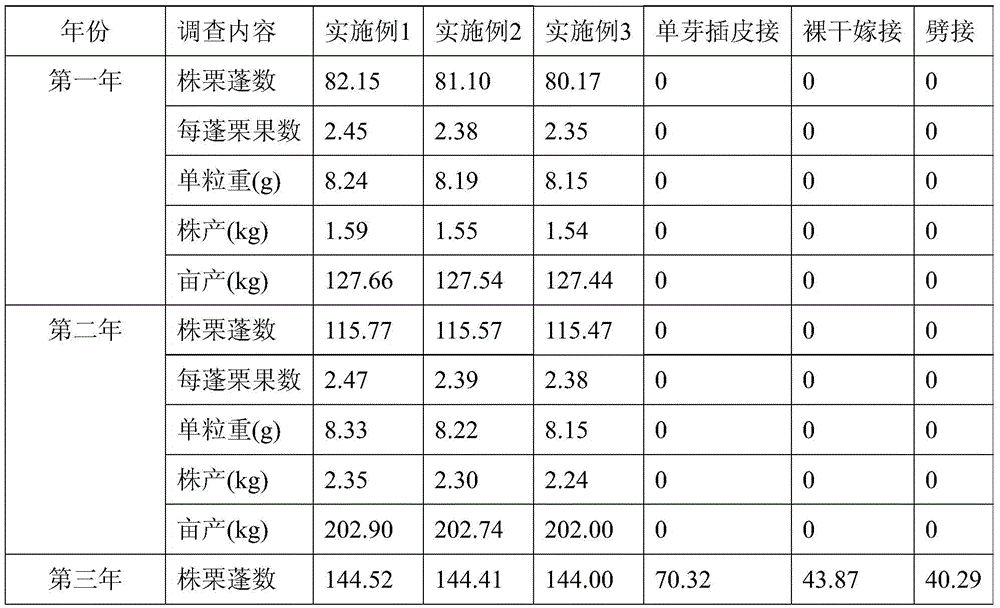 Method for multipoint grafting of fruiting mother branches by aid of Chinese chestnut skeleton branch bald sections