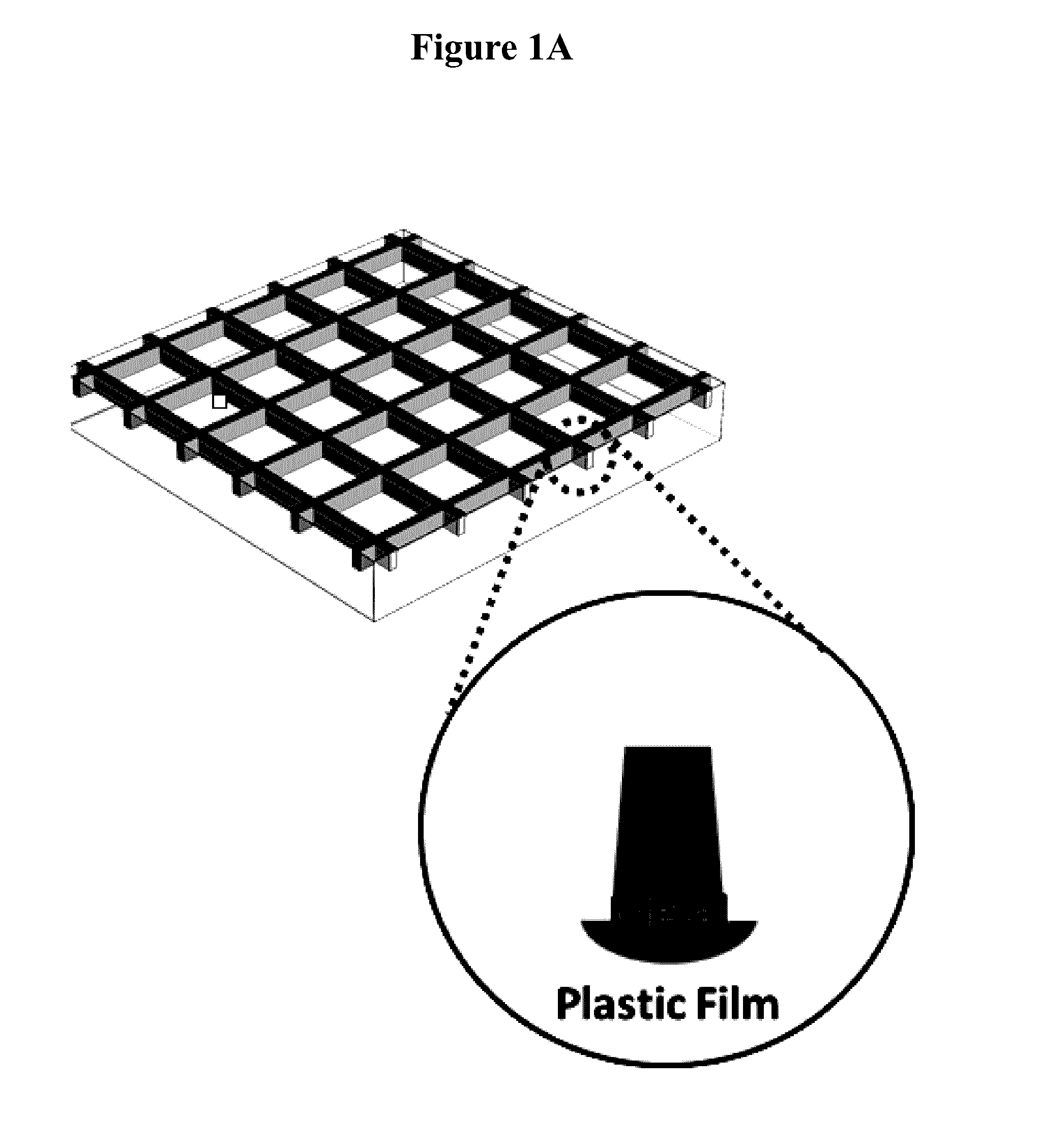 Transparent conductive films with embedded metal grids