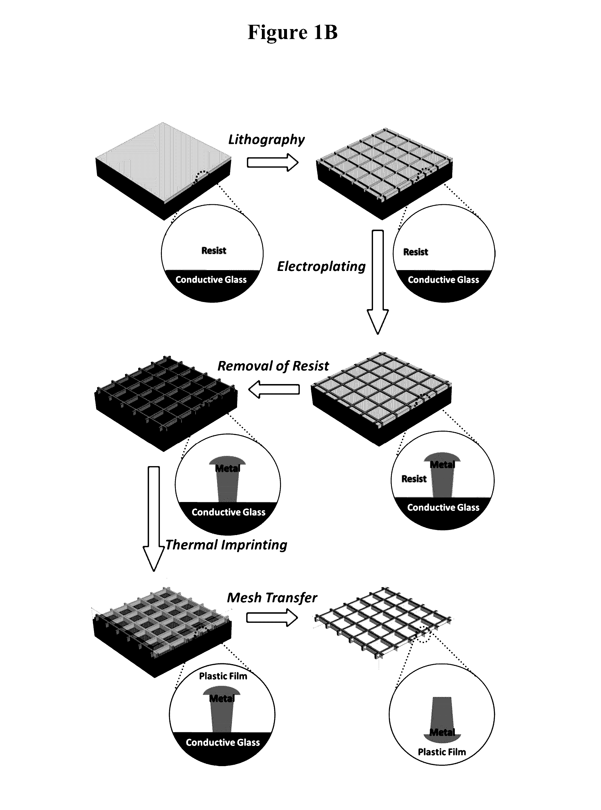 Transparent conductive films with embedded metal grids