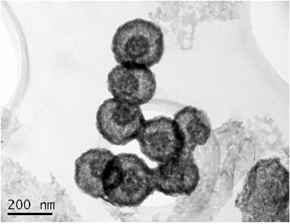 Carbon nano-sphere/NiCo2O4 composite material as well as preparation method and application thereof