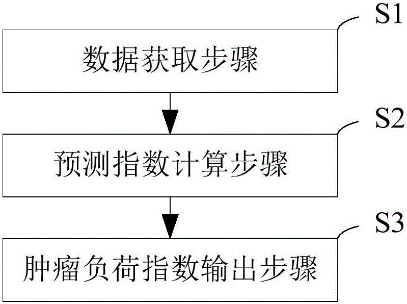 Quantitative expression method and system for human tumor burden