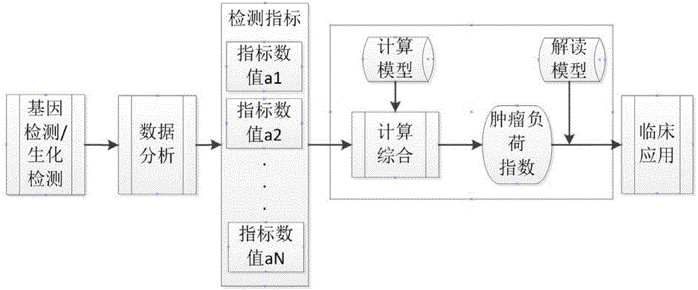 Quantitative expression method and system for human tumor burden