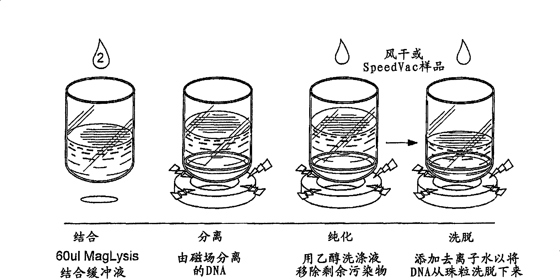 Method for isolating nucleic acids