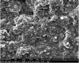 Improved phosphorus fixing film used in DGT (diffusive gradients in thin films) measurement and preparation method thereof