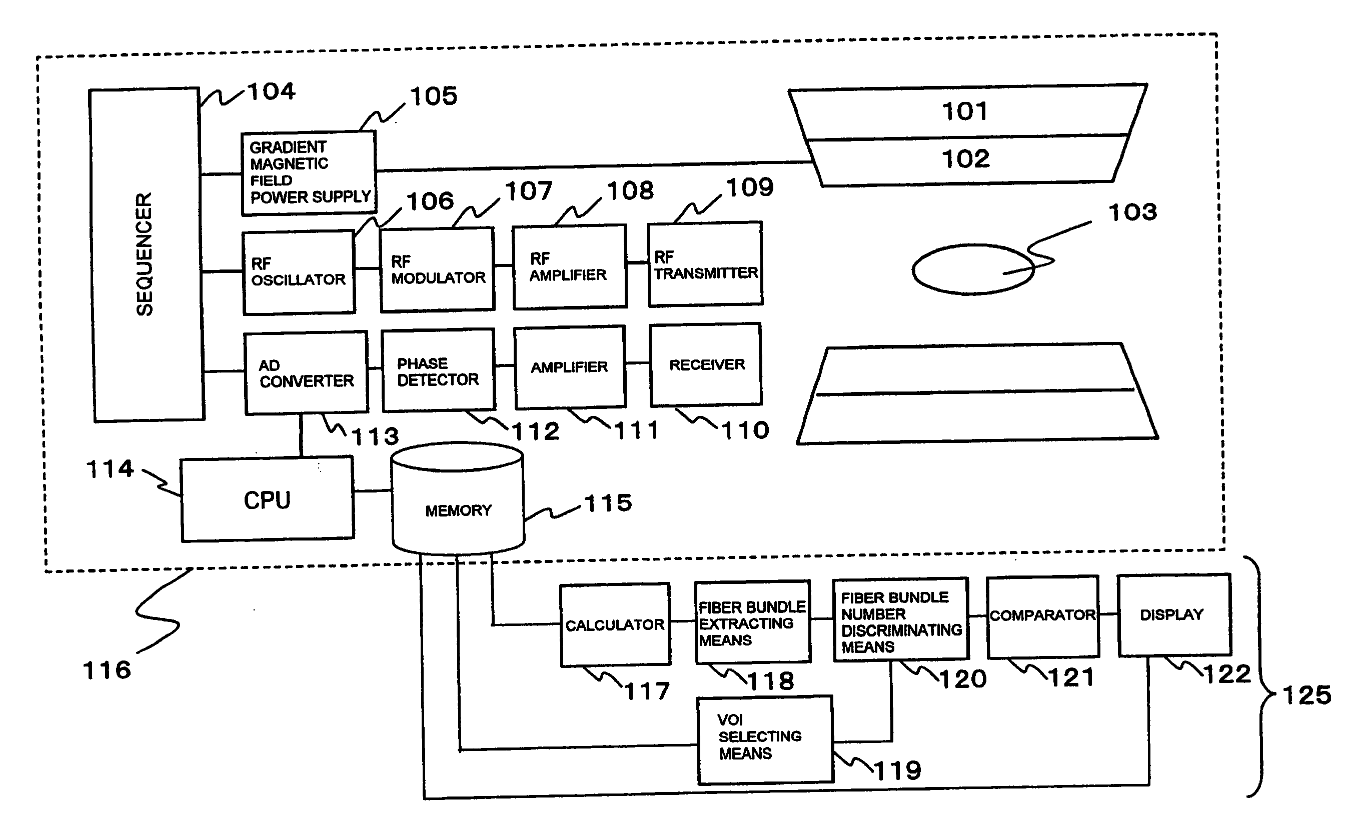 Measurement system and image processing system for neural fiber bundles