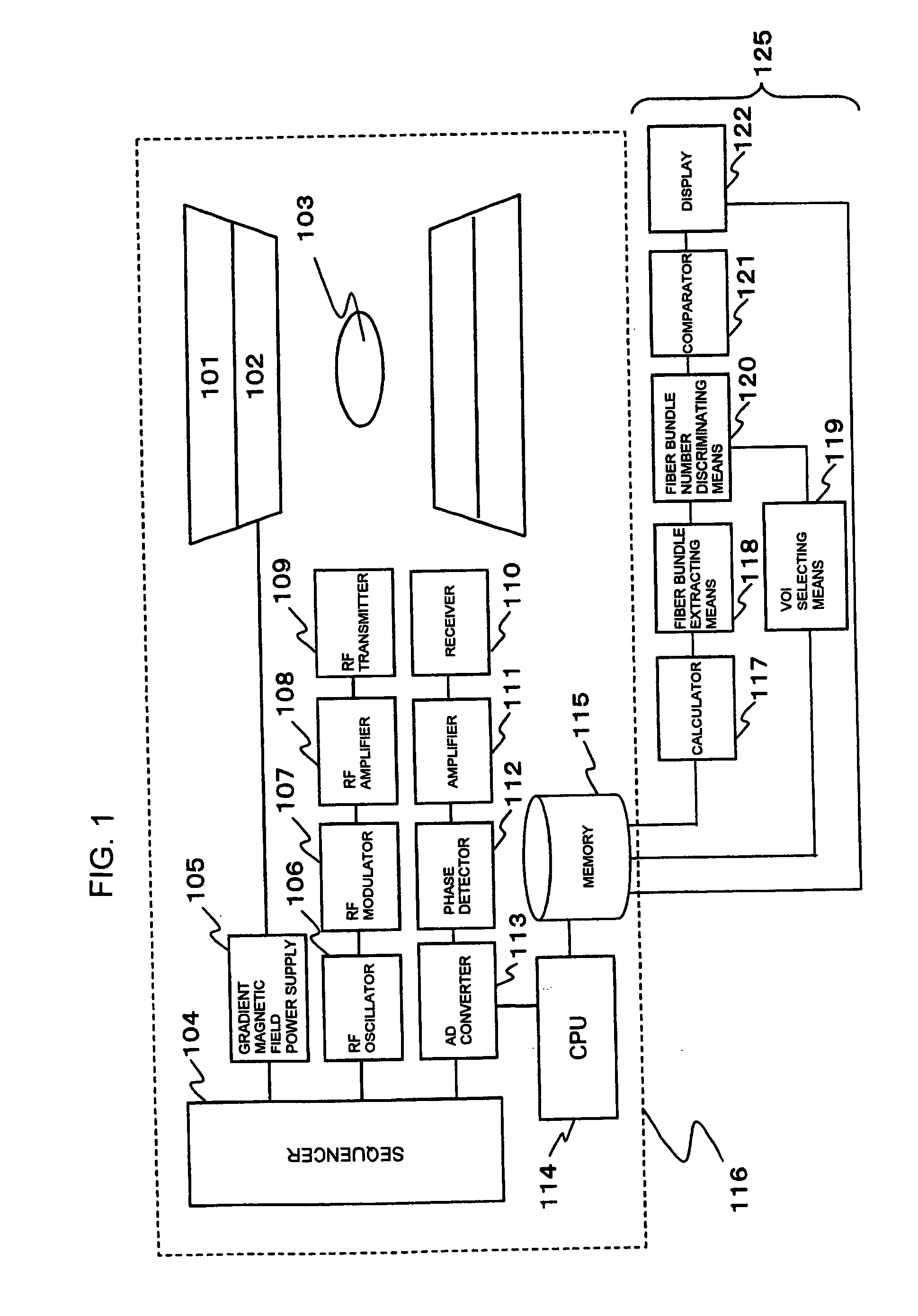 Measurement system and image processing system for neural fiber bundles