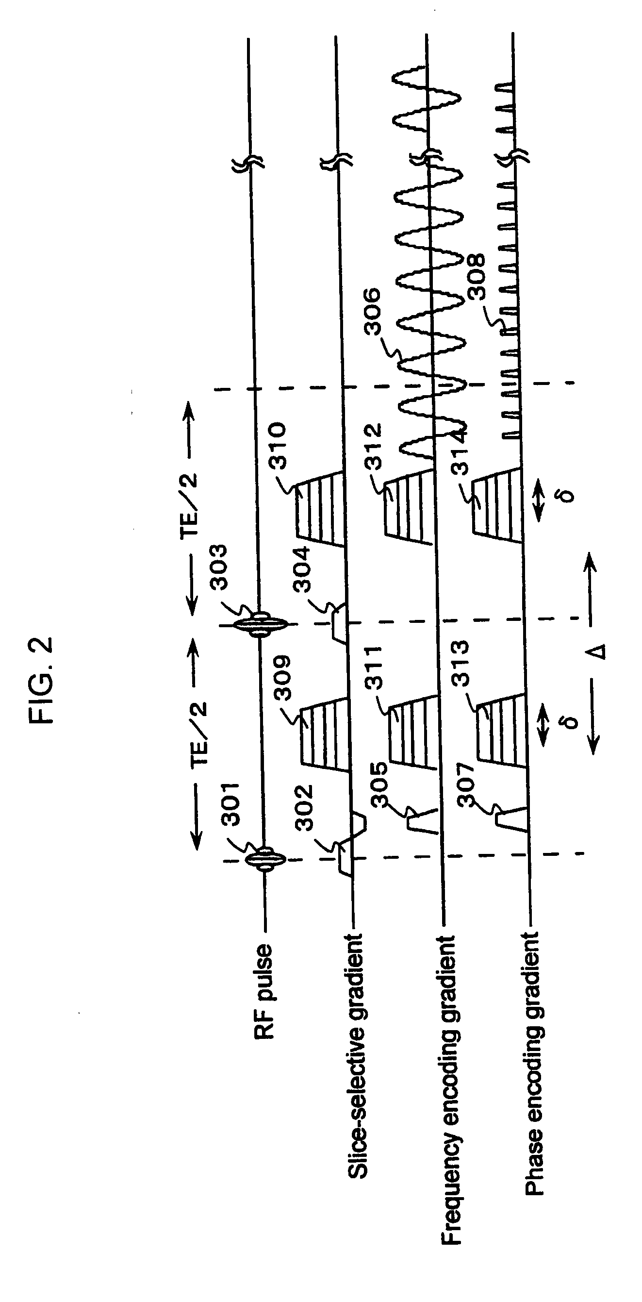 Measurement system and image processing system for neural fiber bundles