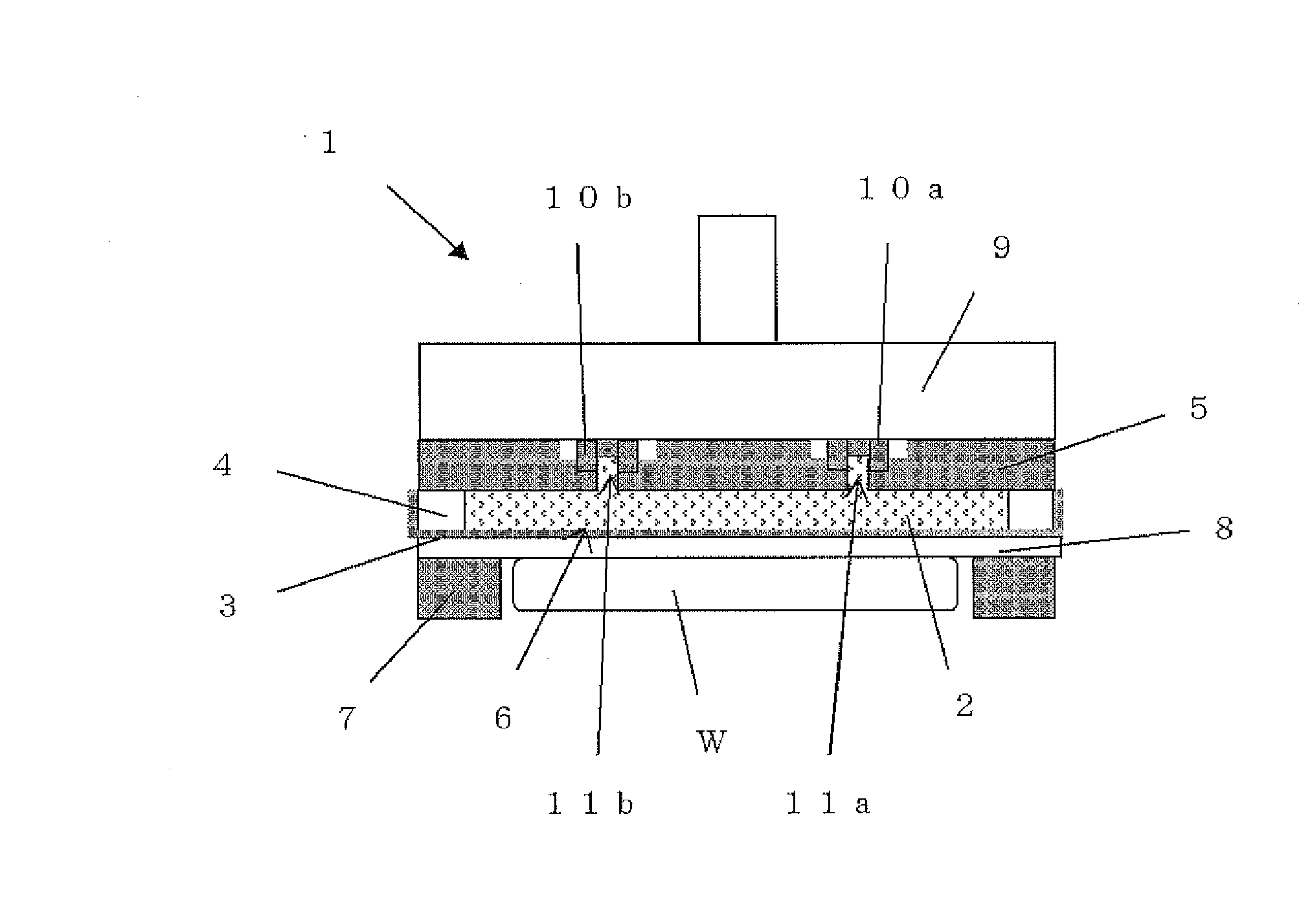 Polishing head and polishing apparatus