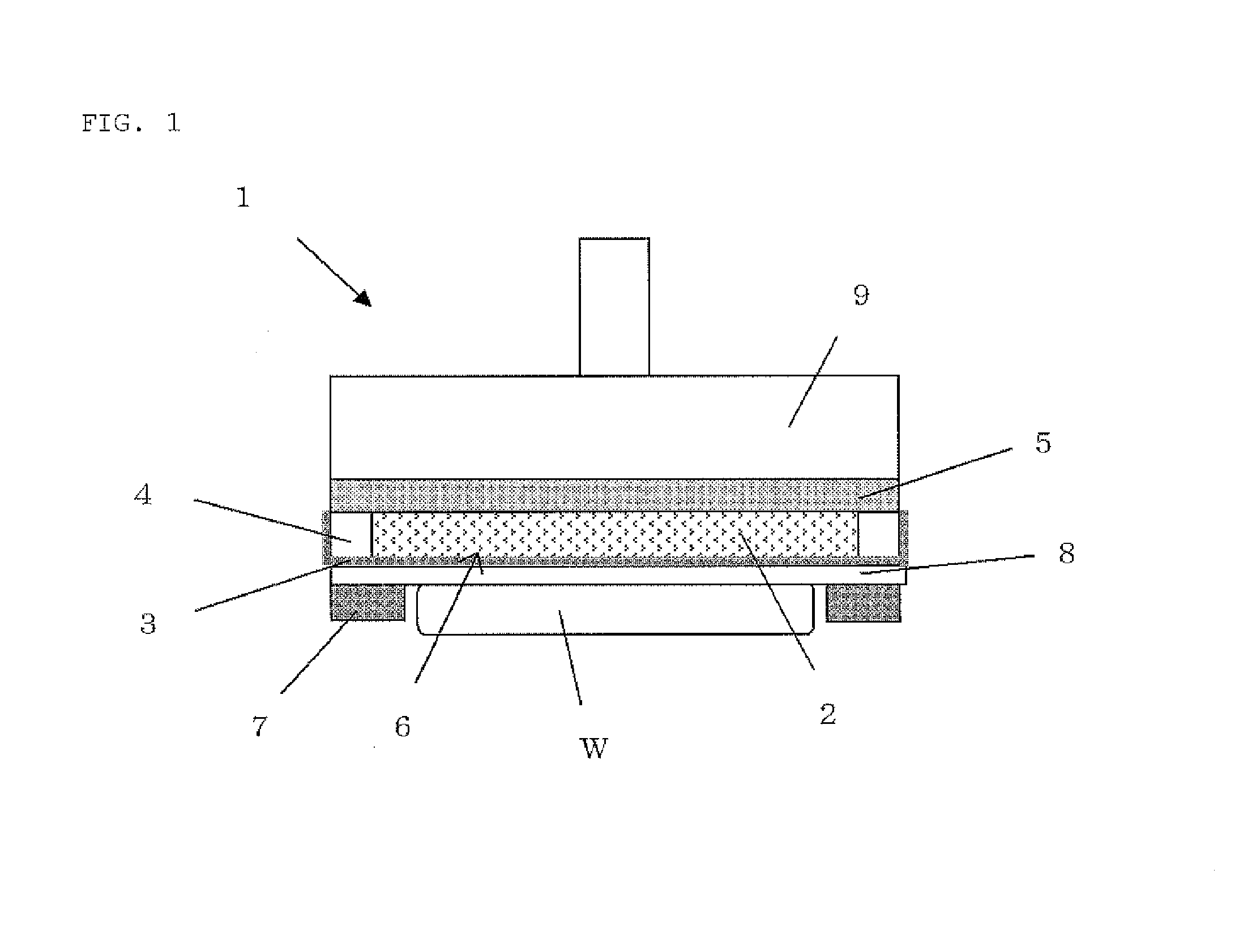 Polishing head and polishing apparatus