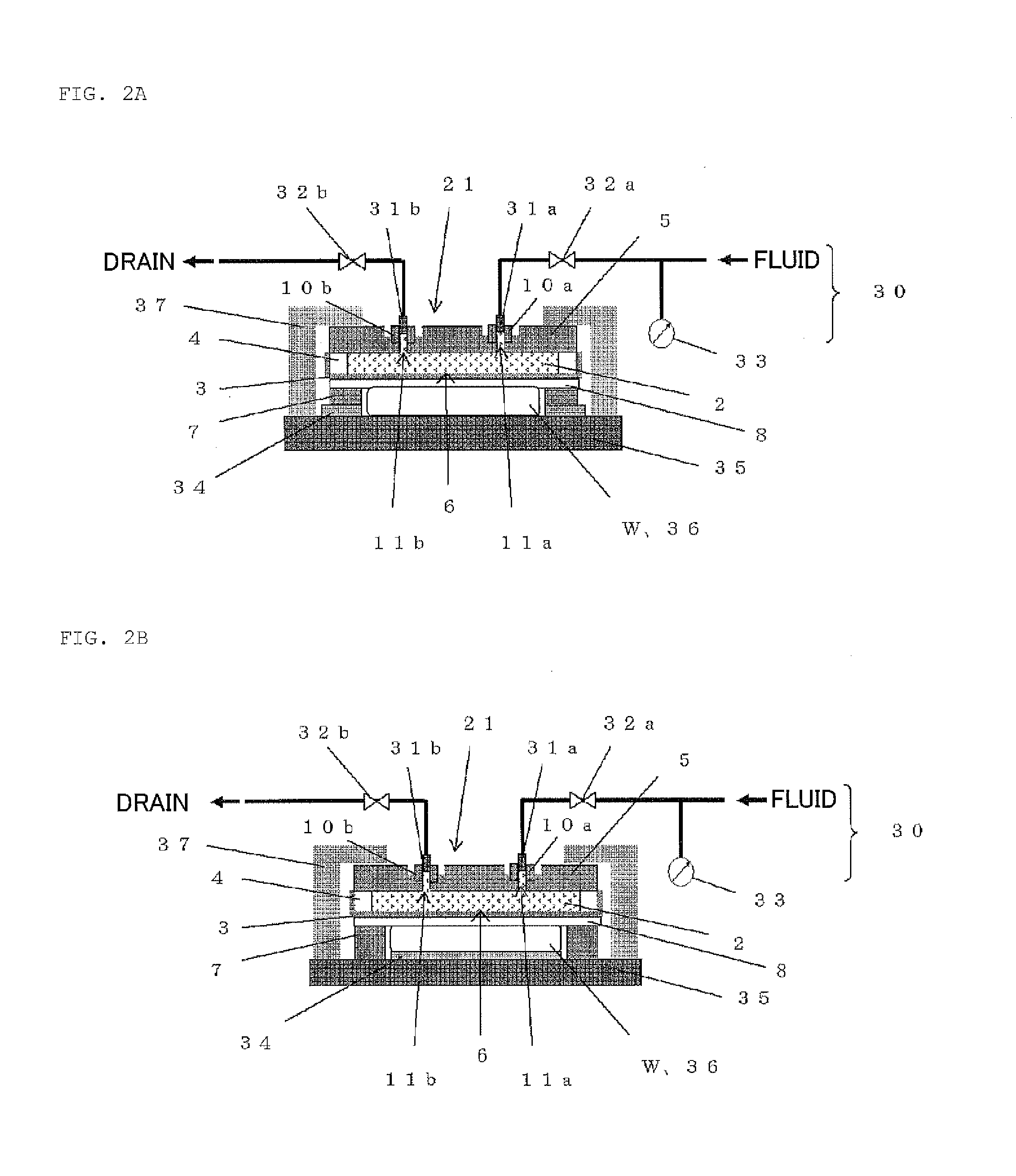 Polishing head and polishing apparatus