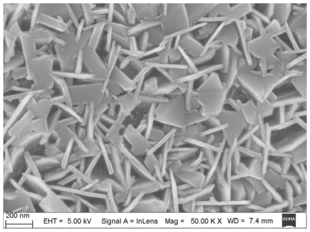 Thin film electrode and preparation method thereof