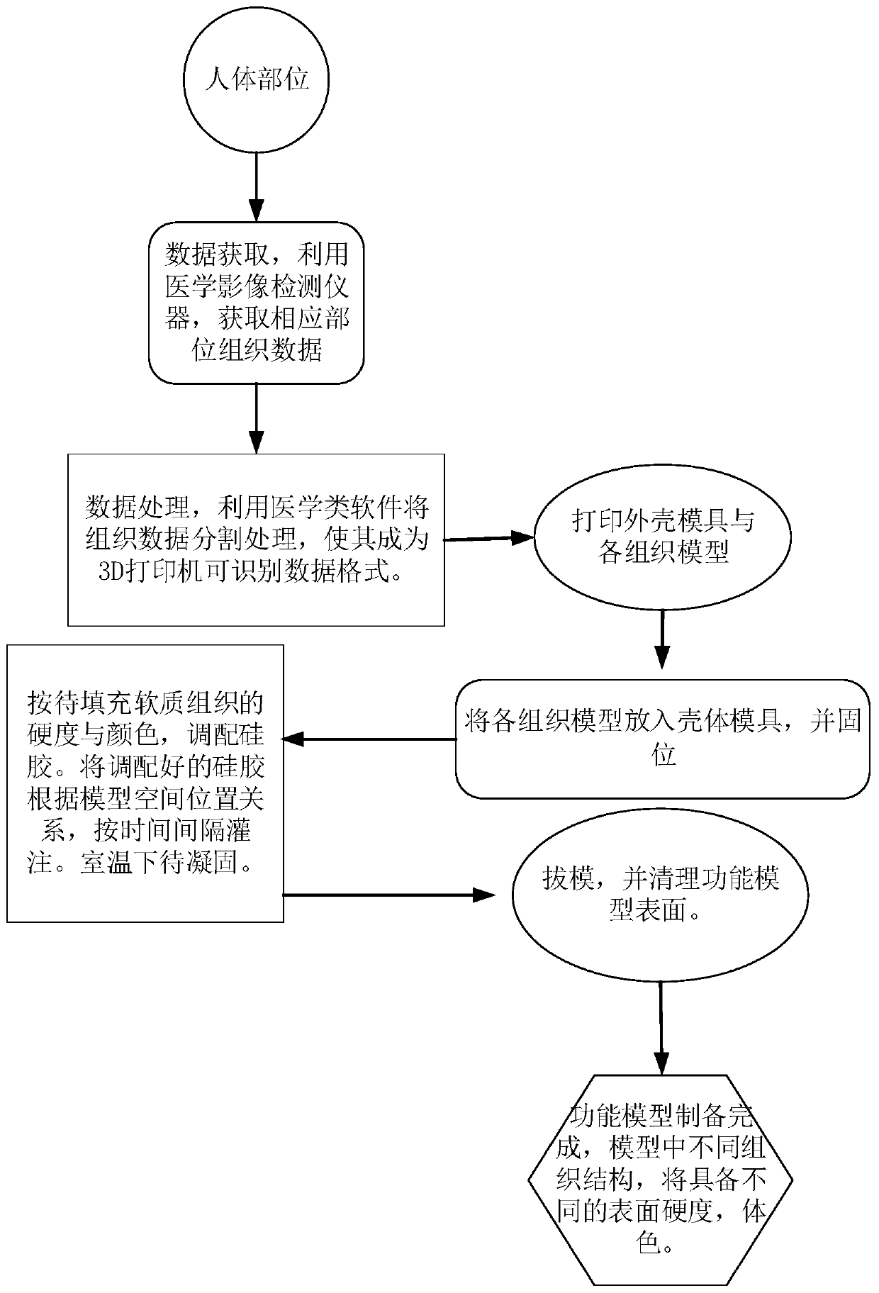 Preparation method for human body soft and hard tissue functional model