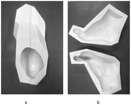 Preparation method for human body soft and hard tissue functional model