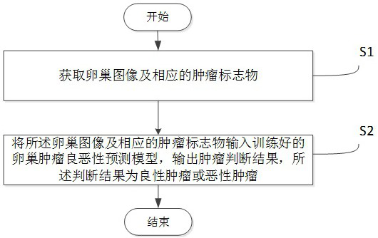 Computer-aided diagnosis and treatment system based on benign and malignant ovarian tumor prediction model