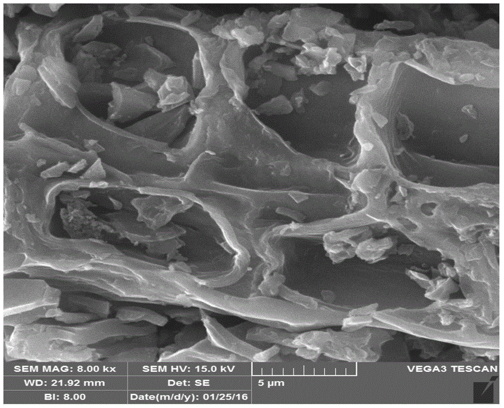 Fe-doped walnut shell activated carbon for treating dye wastewater as well as preparation method and application of activated carbon