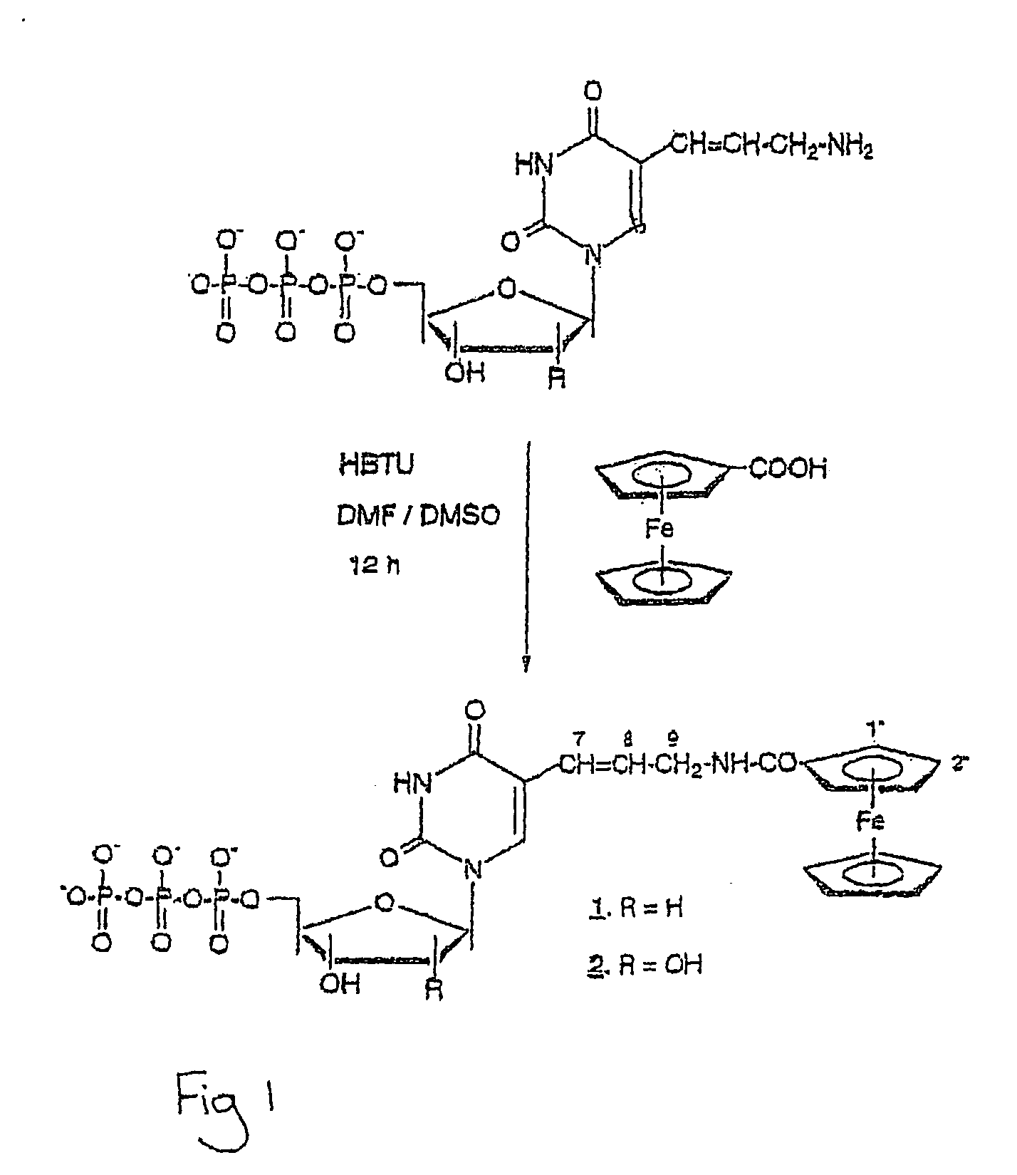 Enzymatic redox labelling of nucleic acids