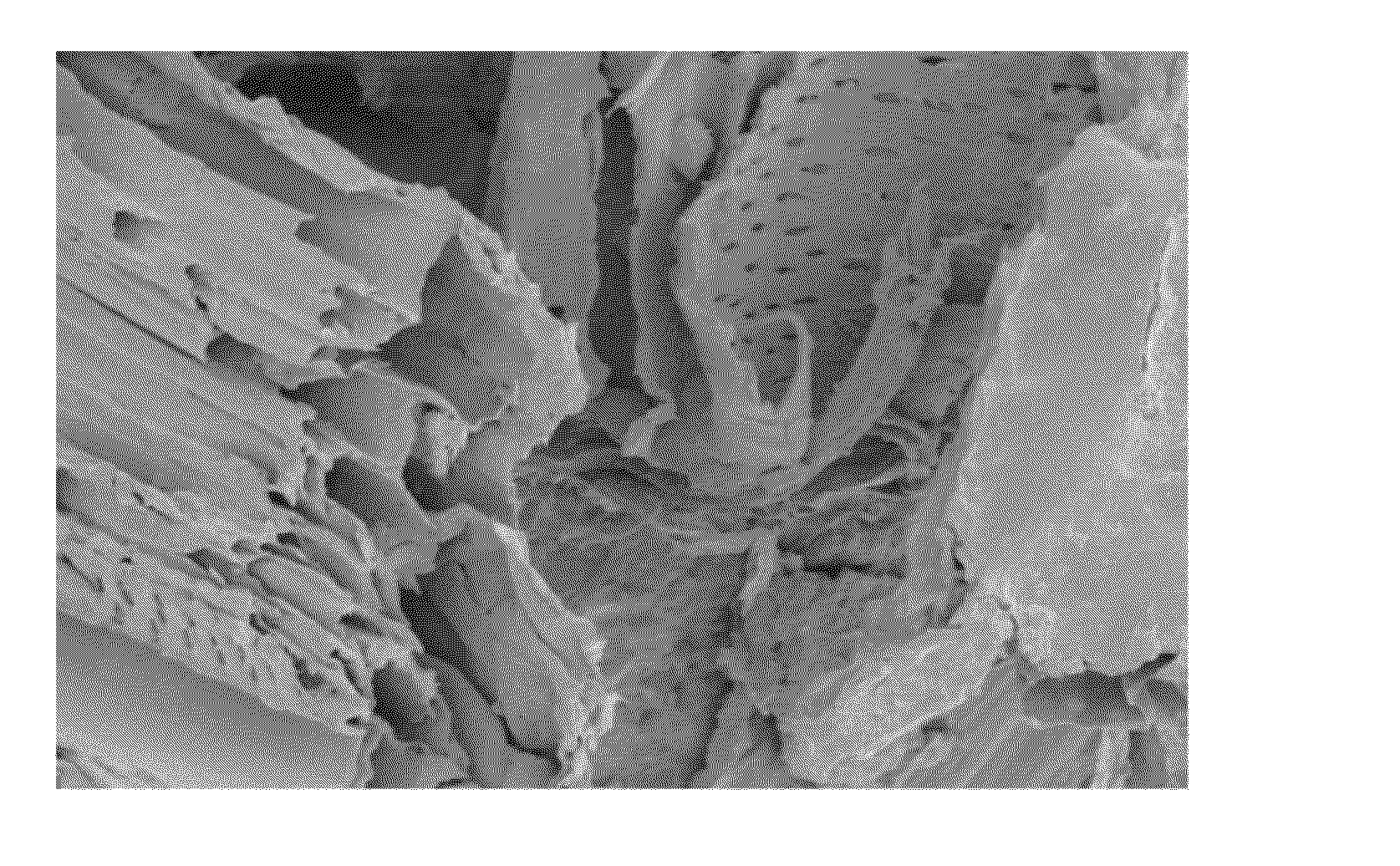 Method for processing lignocellulose material