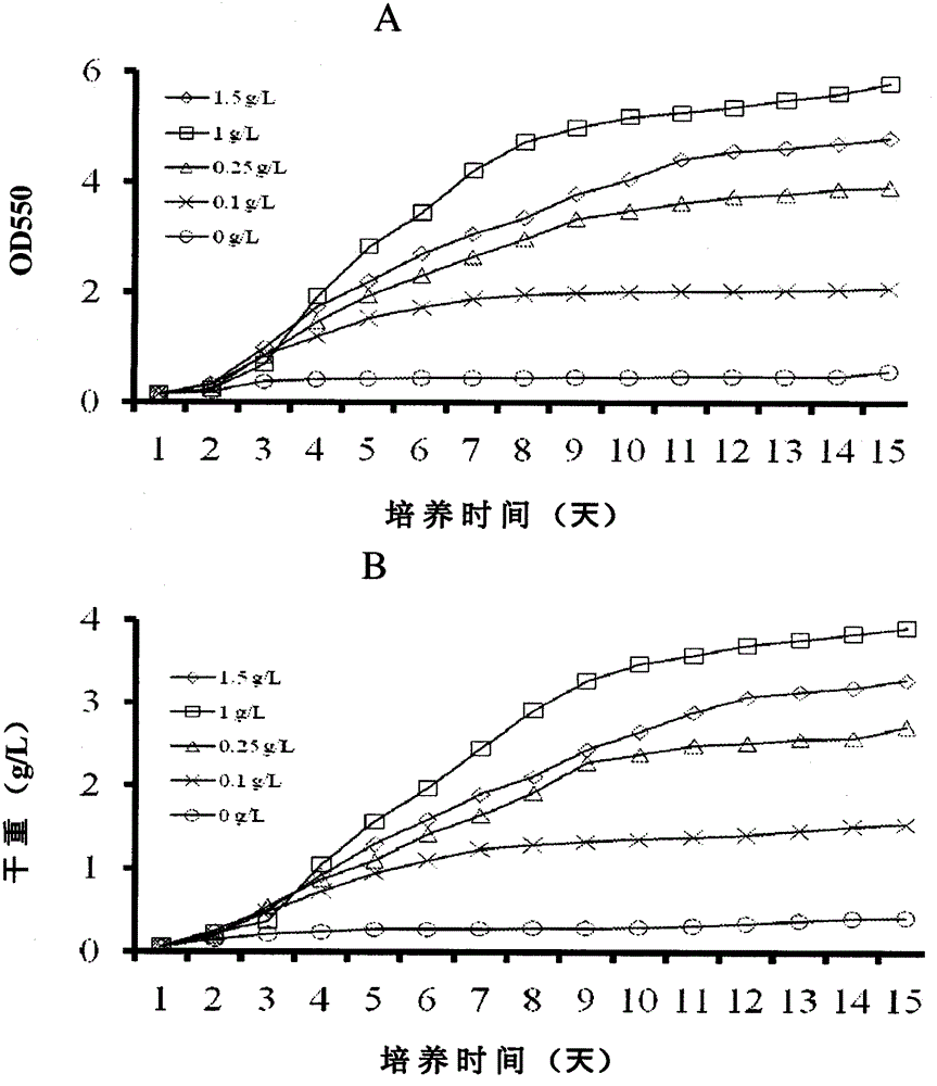 Cultivation of green algae chlorococcum pamirum for production of biofuel