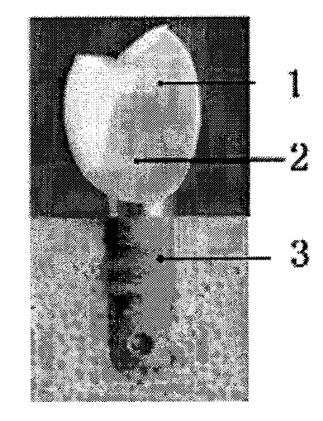 Dental implant with surface nanostructure and preparation method thereof