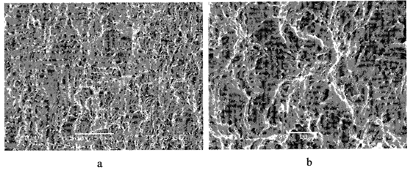 Dental implant with surface nanostructure and preparation method thereof