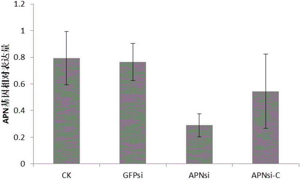 Method for improving RNA interfering efficiency of mandibulate insects