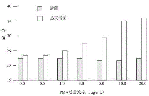 Method of rapidly judging survival state of mycobacterium paratuberculosis in milk and milk product by applying BLU-V PMA technology