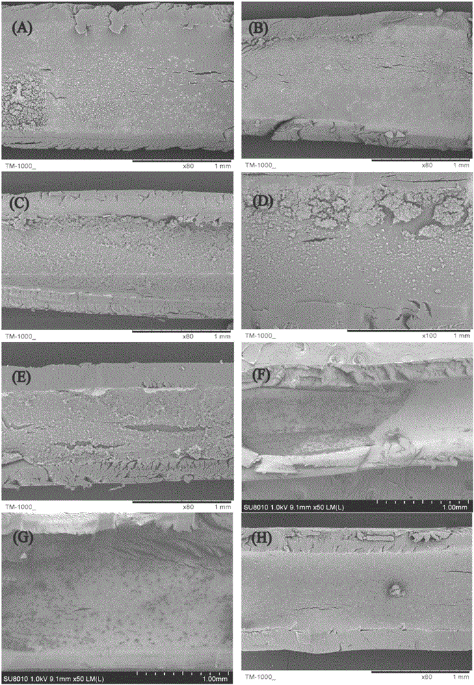 In-vitro simulated organoid cultivation method for colon cancer cells