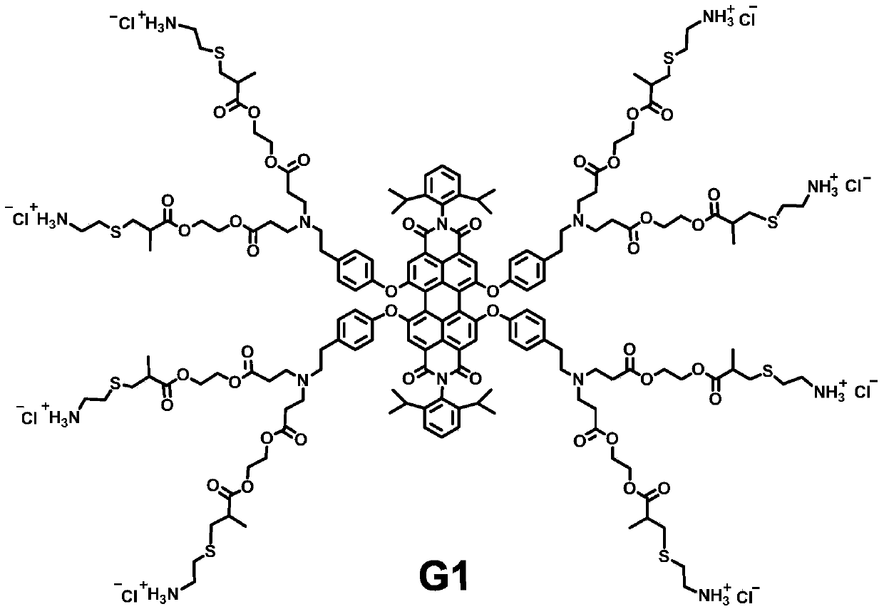 Application of fluorescence arborization nanometer macromolecule in preparing drug carrier