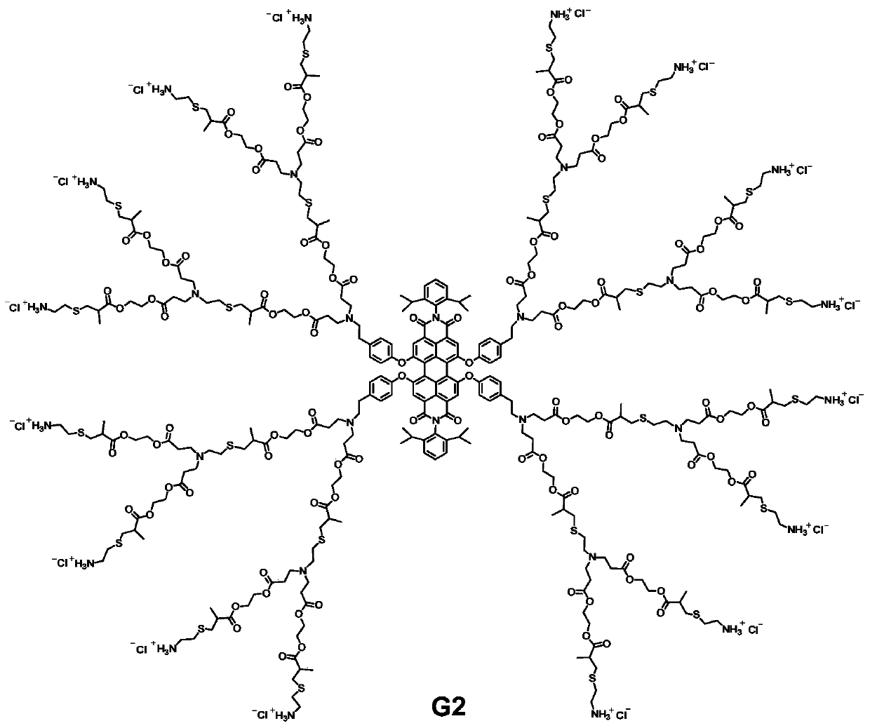 Application of fluorescence arborization nanometer macromolecule in preparing drug carrier