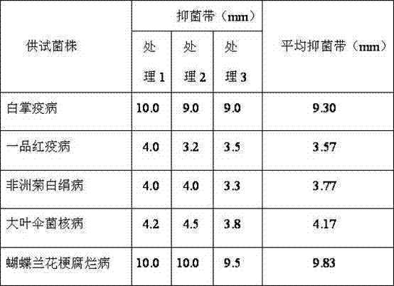 Bacterium paenibacillus polymyma SHL-1 and application thereof in preventing and controlling stalk rot of cymbidium sinense