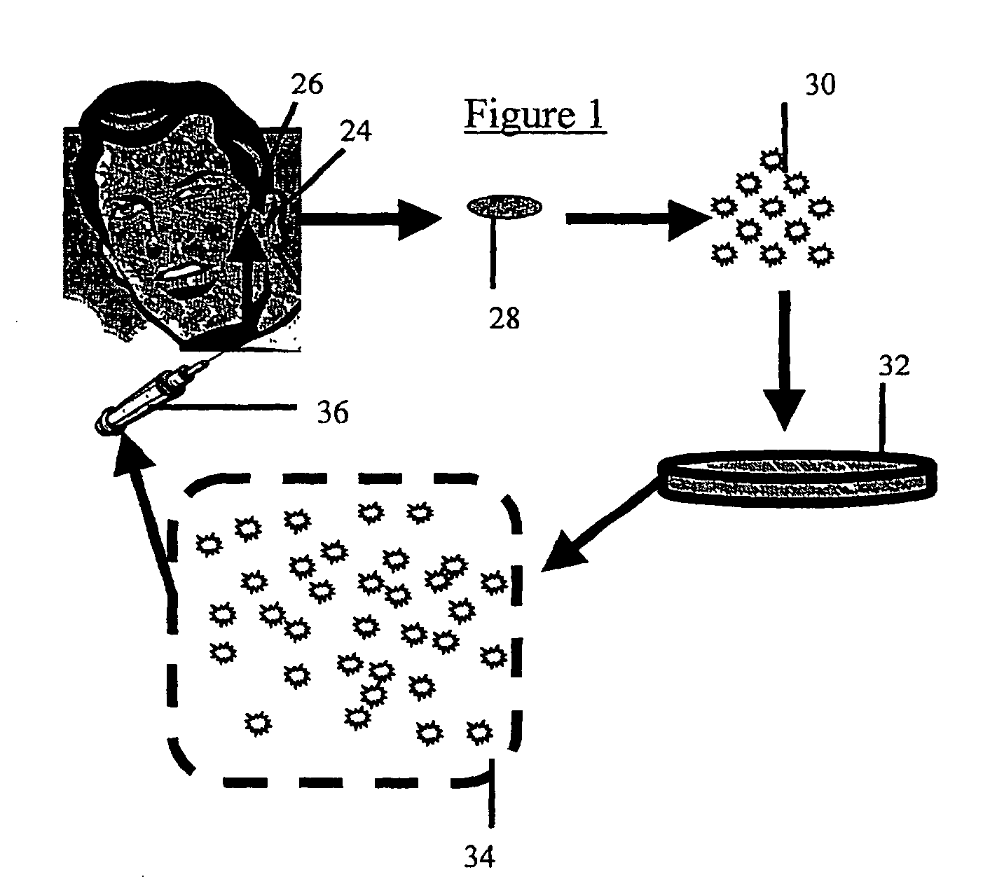 Cosmetic repair using cartilage producing cells and medical implants coated therewith