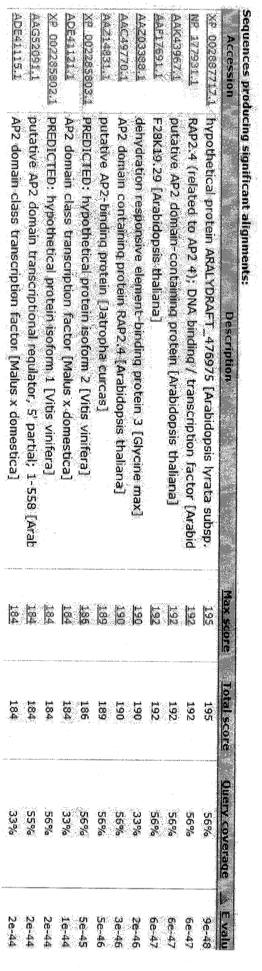 Peanut development gene, and application and detection method thereof