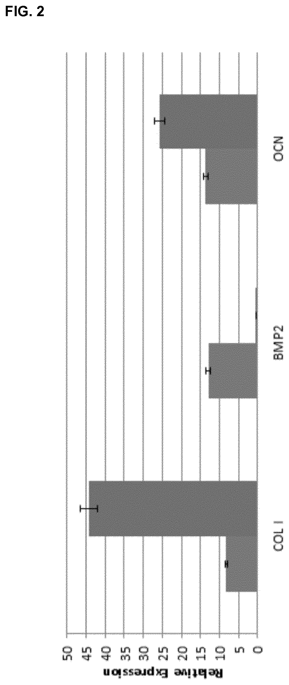 Bone bioactive composition and uses thereof