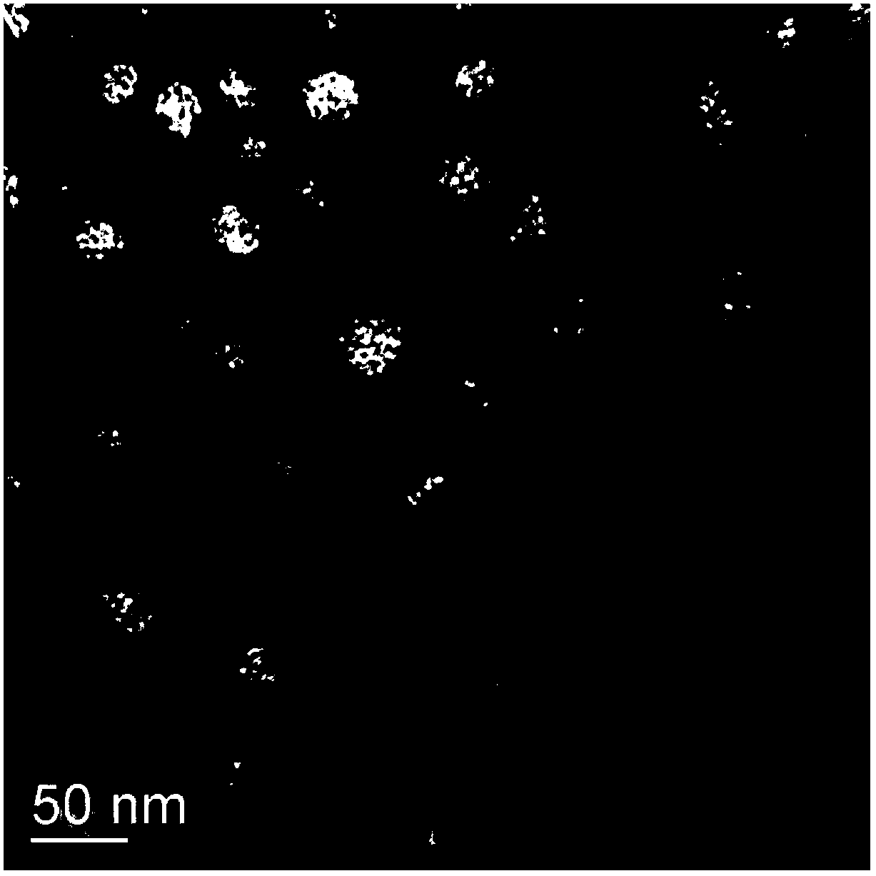 Compound drug-carrying liposome as well as preparation method and application thereof