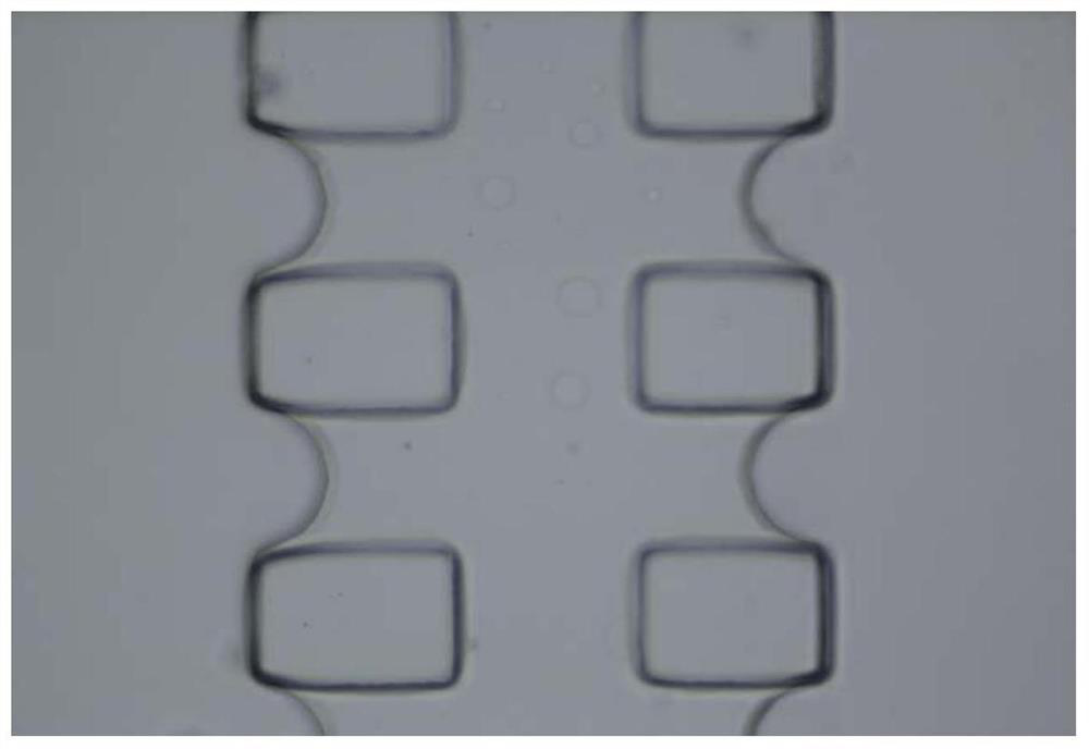 A three-dimensional cell spheroid migration monitoring method based on microfluidic chip technology