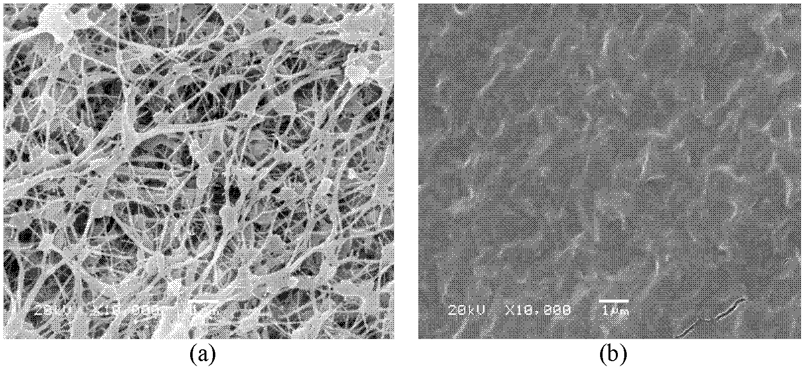 Preparation method of heterogeneous anion exchange membrane