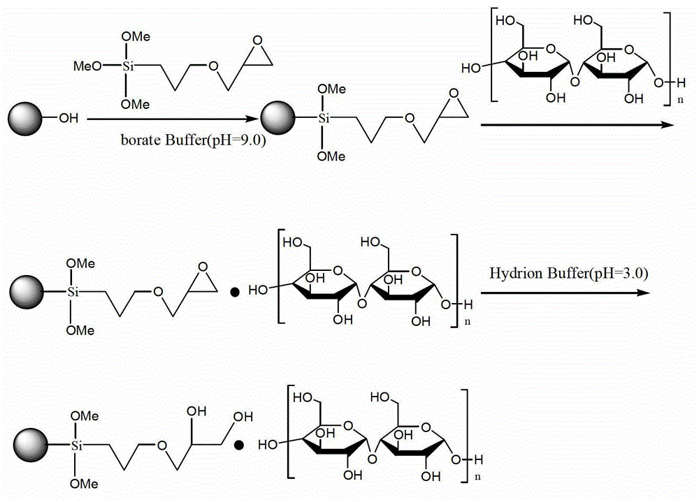 Chromatographic packing for separating water soluble polymer and protein and preparation method of same