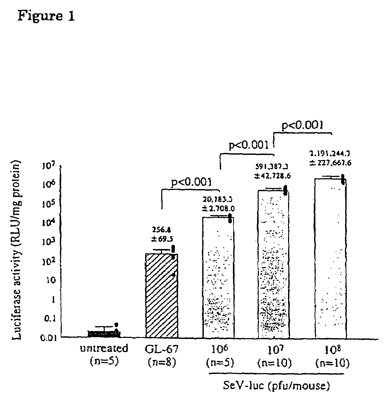 Recombinant sendai virus vector for introducing exogenous genes to airway epithelia