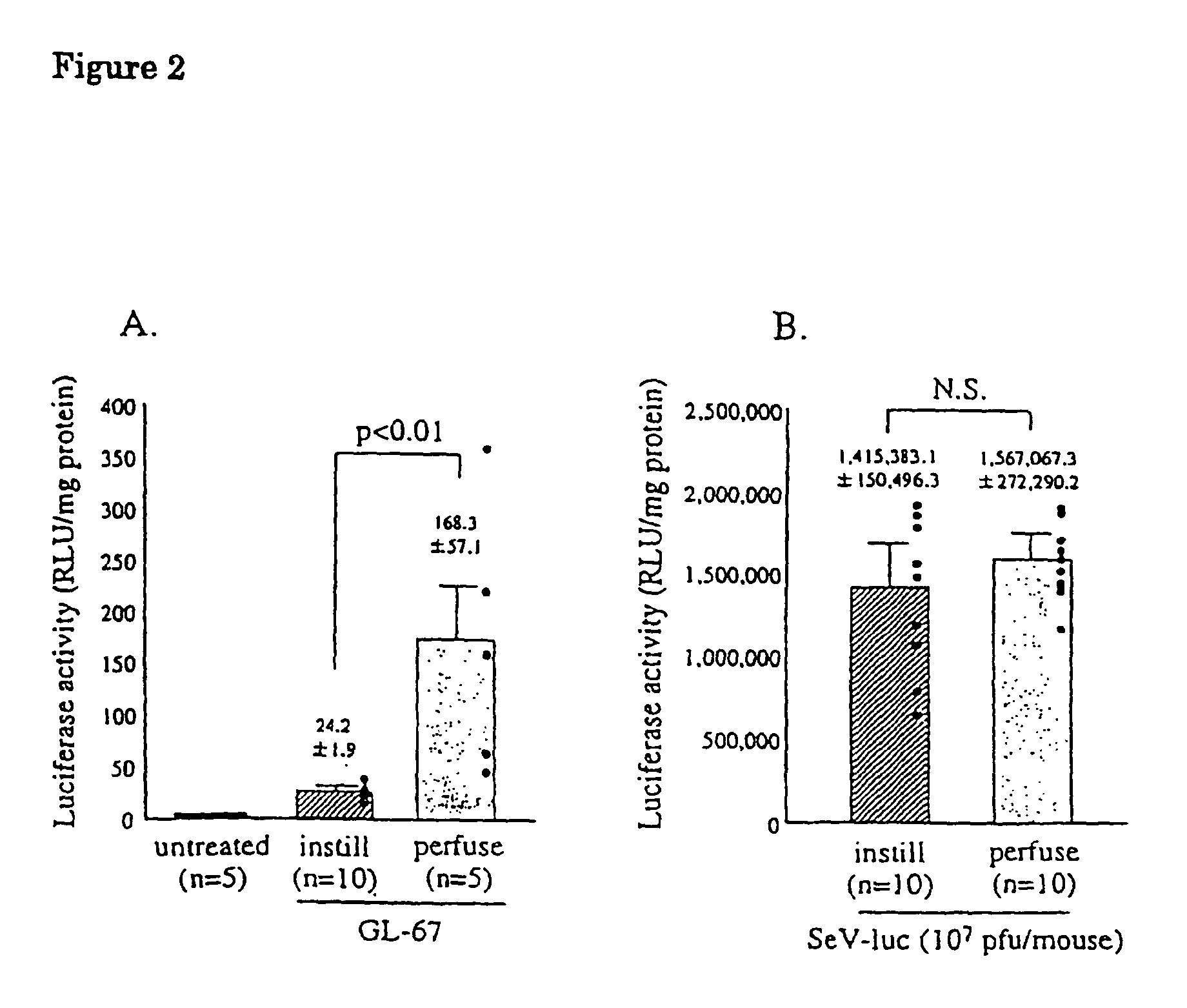 Recombinant sendai virus vector for introducing exogenous genes to airway epithelia