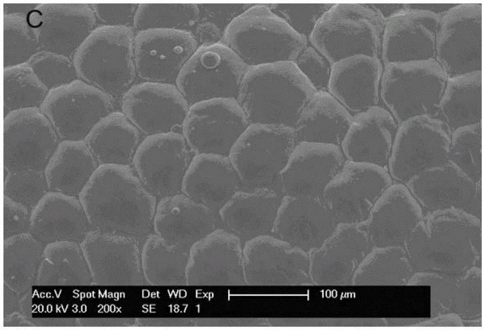 New medicinal application of morin hydrate