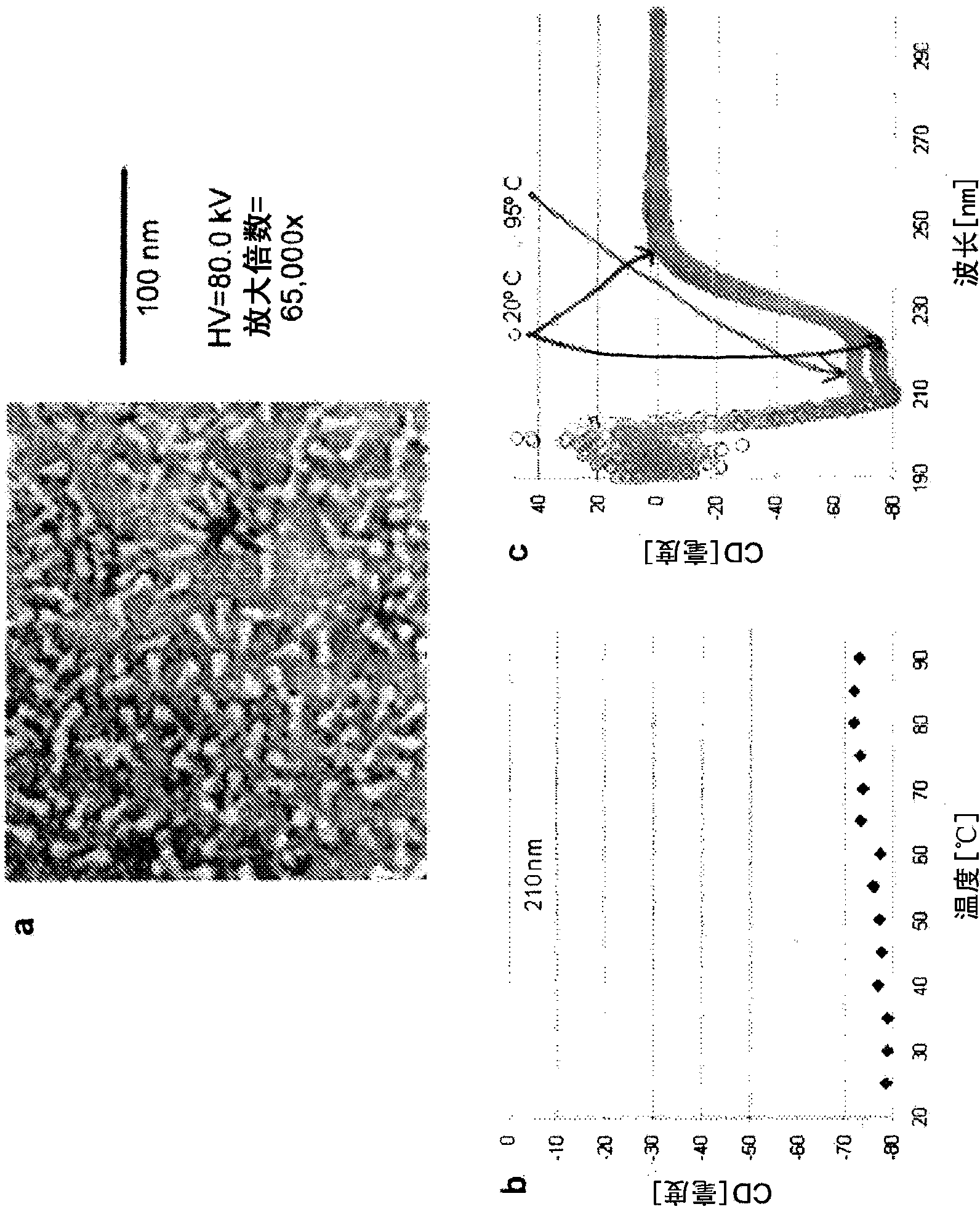 Pre-fusion rsv f antigens