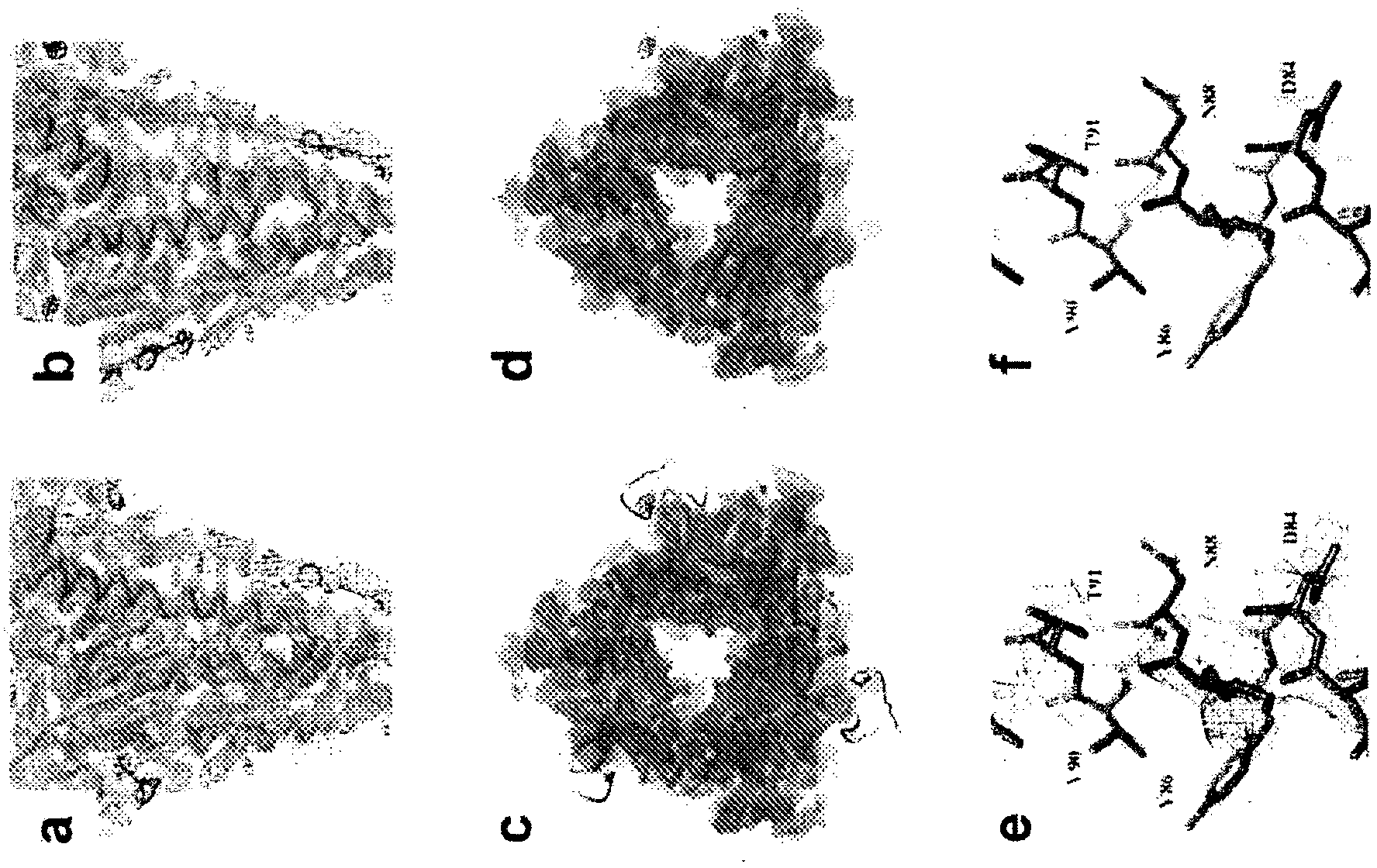 Pre-fusion rsv f antigens